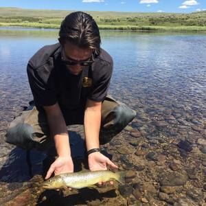 Meet your Posher, Glenn